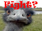 :fight: